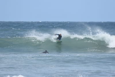 DSC_5895.JPG