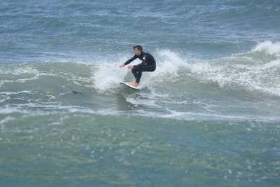 DSC_5919.JPG
