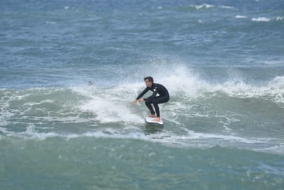 DSC_5920.JPG