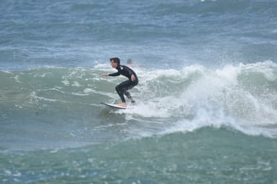 DSC_5925.JPG