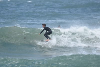 DSC_5926.JPG