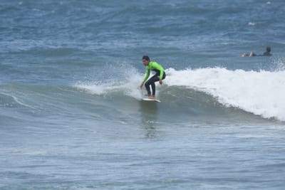 DSC_6071.JPG