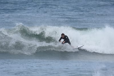 DSC_6159.JPG