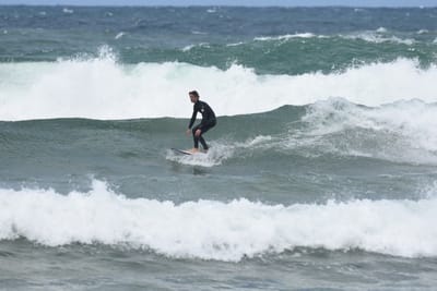 DSC_6233.JPG