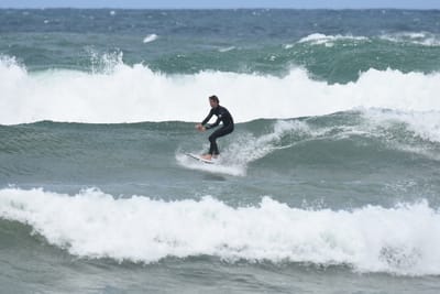 DSC_6234.JPG