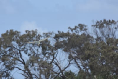 DSC_6235.JPG