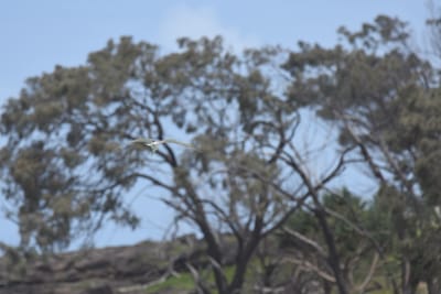 DSC_6236.JPG