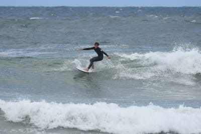 DSC_6310.JPG