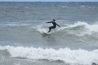 DSC_6311.JPG