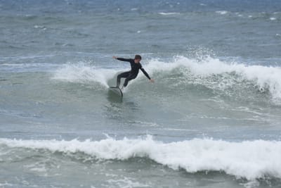 DSC_6313.JPG