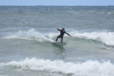 DSC_6315.JPG