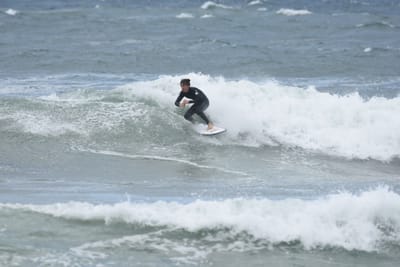 DSC_6319.JPG
