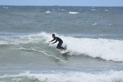 DSC_6320.JPG