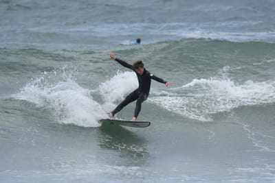 DSC_6333.JPG