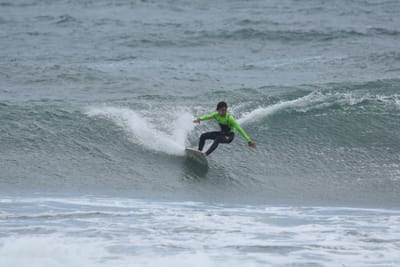 DSC_6379.JPG