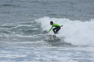 DSC_6393.JPG