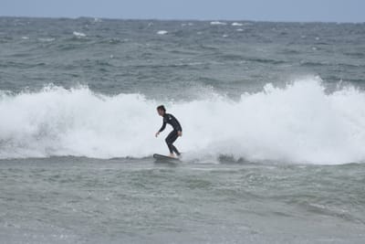 DSC_6436.JPG