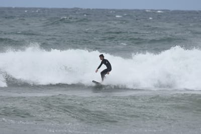 DSC_6438.JPG