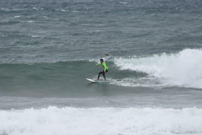 DSC_6515.JPG