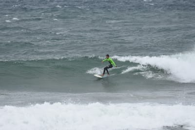 DSC_6516.JPG