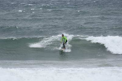 DSC_6522.JPG