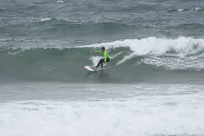 DSC_6526.JPG