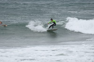 DSC_6537.JPG