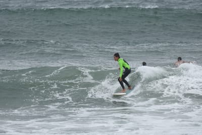 DSC_6540.JPG
