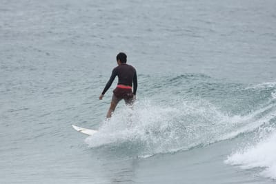 DSC_6637.JPG