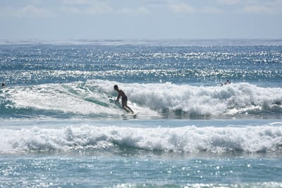 DSC_6814.JPG