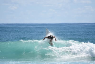 DSC_7148.JPG
