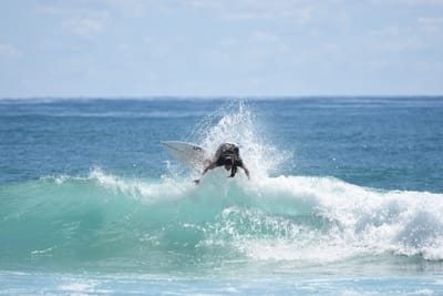 DSC_7149.JPG