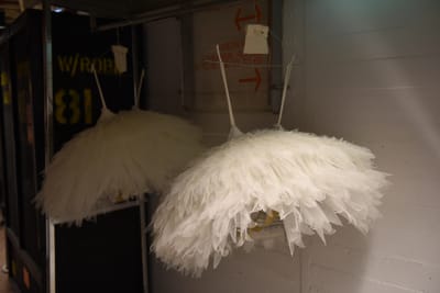 DSC_1619.JPG