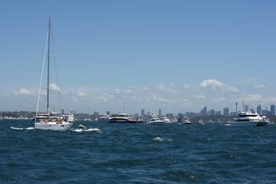 DSC_6172.JPG