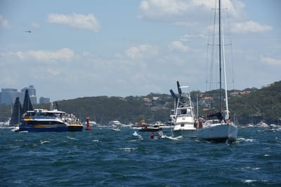 DSC_6173.JPG