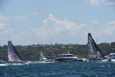 DSC_6175.JPG