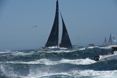 DSC_6179.JPG