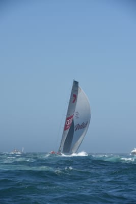 DSC_6205.JPG