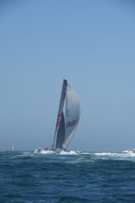 DSC_6206.JPG