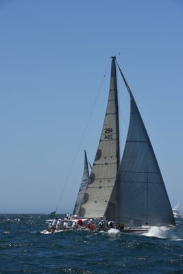DSC_6219.JPG