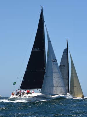 DSC_6224e.jpg