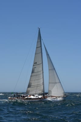 DSC_6229.JPG