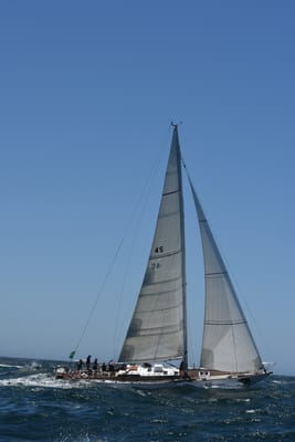 DSC_6230.JPG