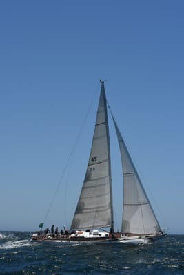 DSC_6231.JPG