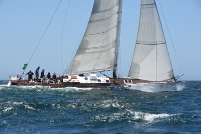 DSC_6233.JPG