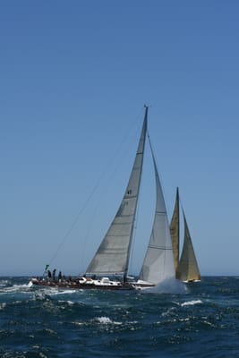 DSC_6235.JPG