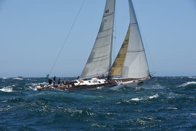 DSC_6236.JPG