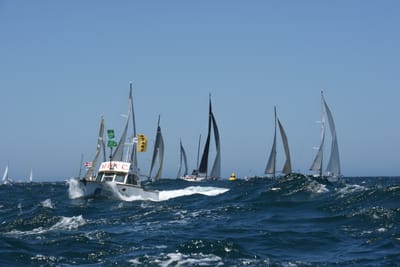 DSC_6237.JPG