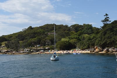 DSC_6241.JPG