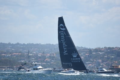 DSC_8569.JPG